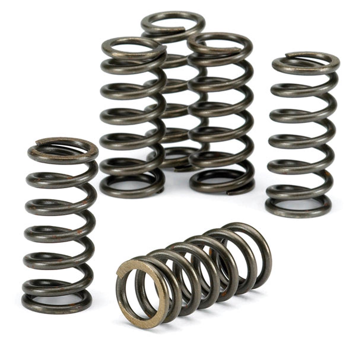 EBC Clutch Spring Kit CSK097